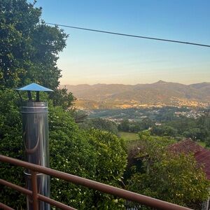 Meet your Posher, Lily